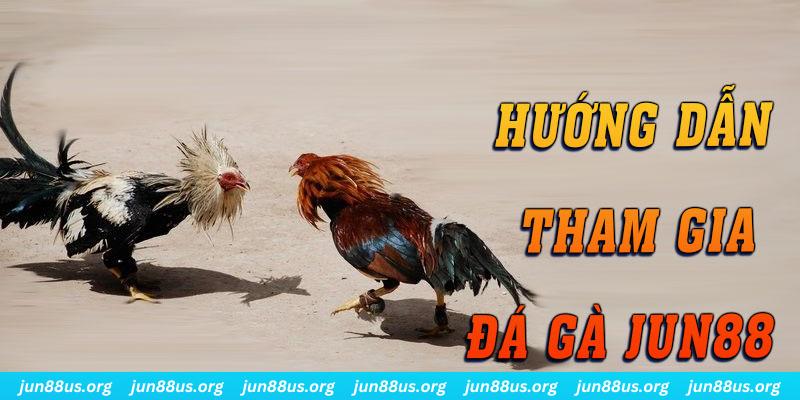 Đá Gà - Cùng Các Chiến Kê Ra Sân Nhận Thưởng Hấp Dẫn 6 Hướng dẫn tham gia một cách chi tiết, an toàn
