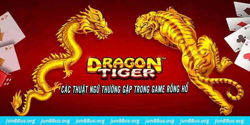 Rồng Hổ - Hướng Dẫn Cách Chơi Nhanh Chóng, Đơn Giản, Dễ Hiểu 5 Một vài thuật ngữ thông dụng cần nắm trước khi tham gia