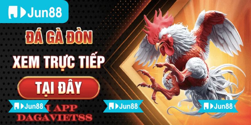 App đá gà trực tiếp Jun88 chất lượng HD hỗ trợ đặt cược dễ dàng 4 App đá gà trực tiếp Jun88 hỗ trợ mọi thao tác từ xem trận, xem kèo đến theo dõi kết quả dễ dàng