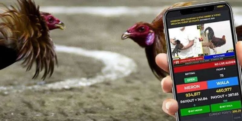 Đá Gà Online – Xem Trực Tiếp & Thưởng Cao Nhất Cùng Jun88 6 Giao diện đá gà online với tỷ lệ thưởng 1 ăn 97