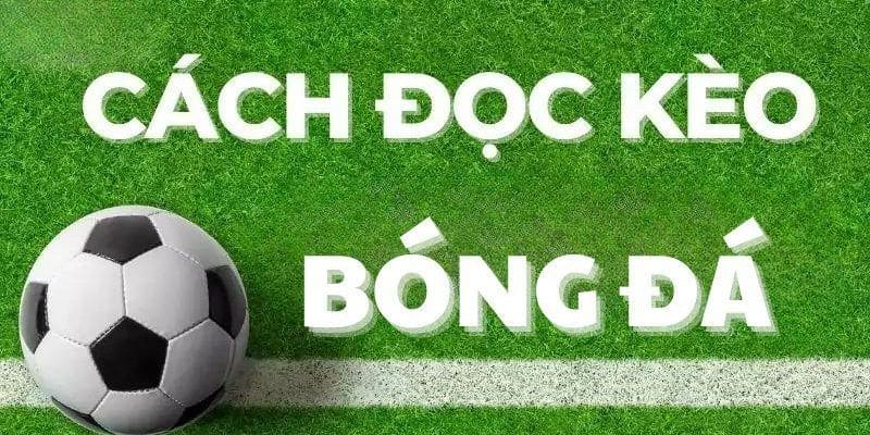 Soi Kèo 1/4 – Phân Tích Chuẩn Xác Từ Chuyên Gia Jun88 5 Tỷ lệ thắng cược 1/4 theo từng hiệp đấu